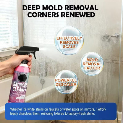 Deep mold removal - powerful descaler, effectively removes scale