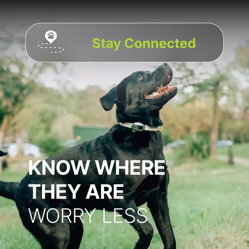Smart Pet Communicator Collar for Dogs & Cats