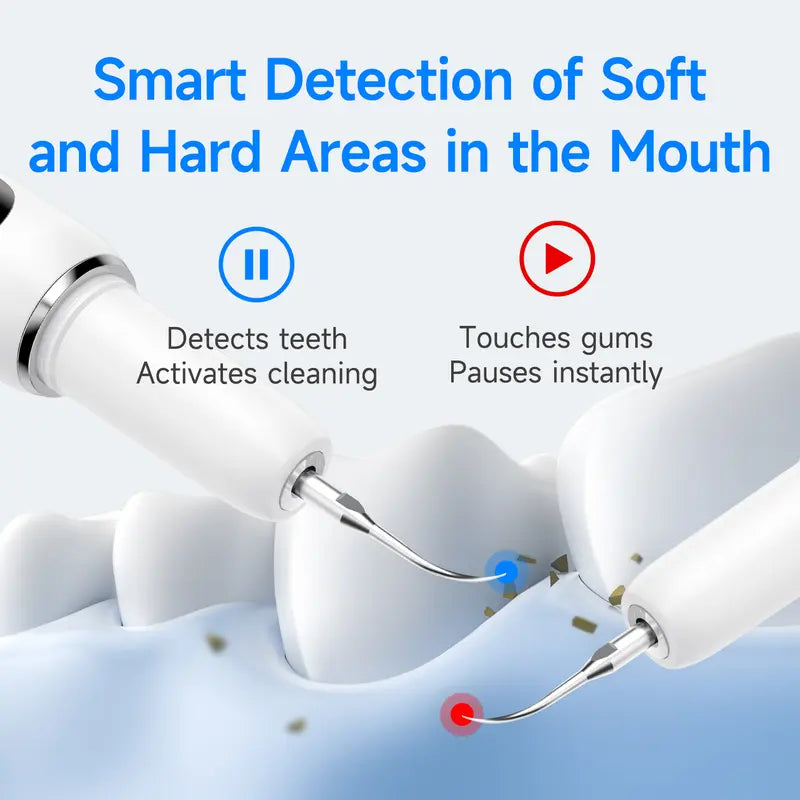 CURVY MOON Electric Oral Plaque Remover Teeth Cleaner Kit, 5 Modes