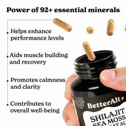 Sea Moss Capsules – High Potency Supplement for Strength & Endurance | 120 Capsules